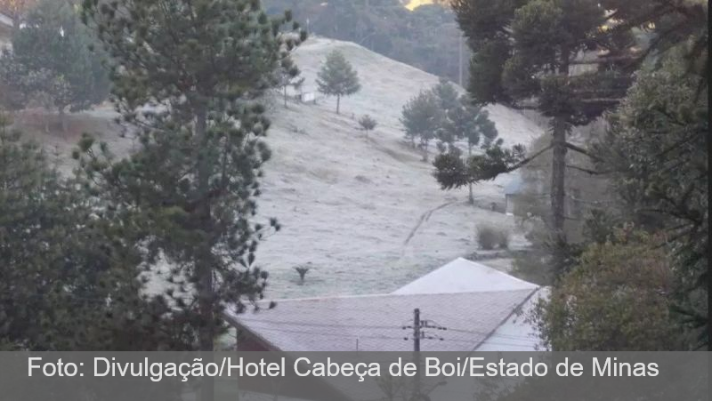 Geada avança em MG e dobra número de cidades em alerta; veja lista