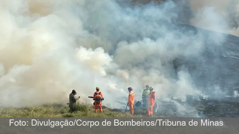 Incêndio atinge 35 hectares da zona de amortecimento do Parque Estadual Mata do Krambeck, em Juiz de Fora