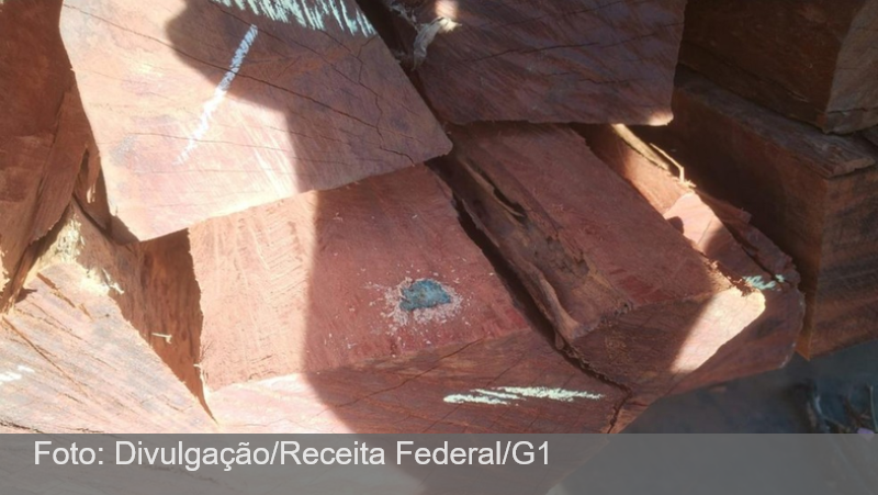 Entenda como esquema internacional usava madeira para esconder cocaína; carga pode ser a maior da história do Brasil