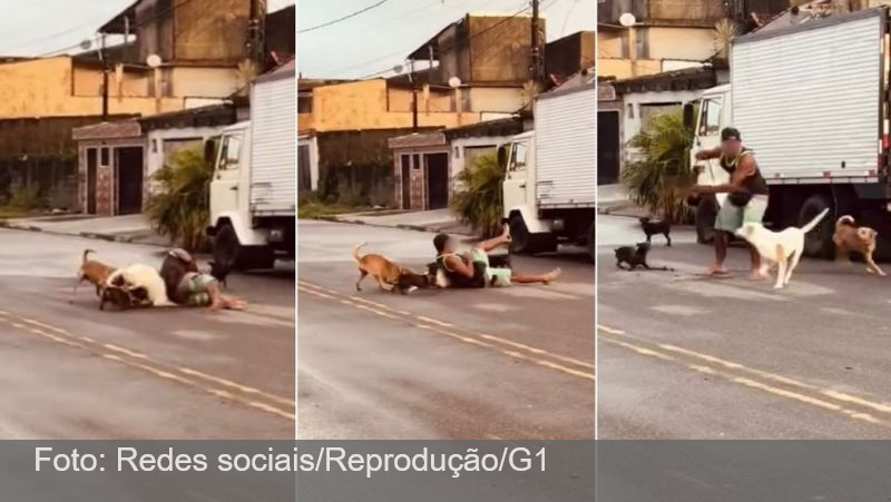 Ex-lutador de MMA dá mata-leão em pit bull para salvar pinscher; VÍDEO