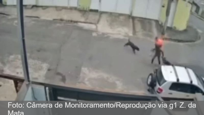 JF: Trabalhador salva cachorro e tutora de ataque de pitbull (C/ vídeo)
