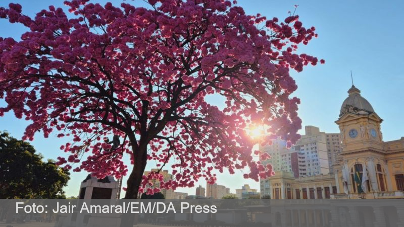 BH registra um dos dias mais frios do ano e sensação térmica negativa