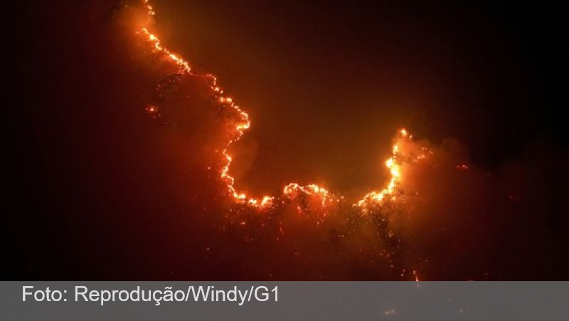 Mancha de fogo encobre mais de 500 km de extensão da Amazônia, apontam imagens de satélite