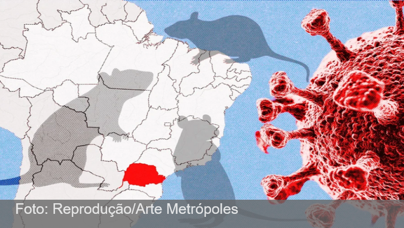 Paraná confirma dois casos de hantavírus e investiga outros 11