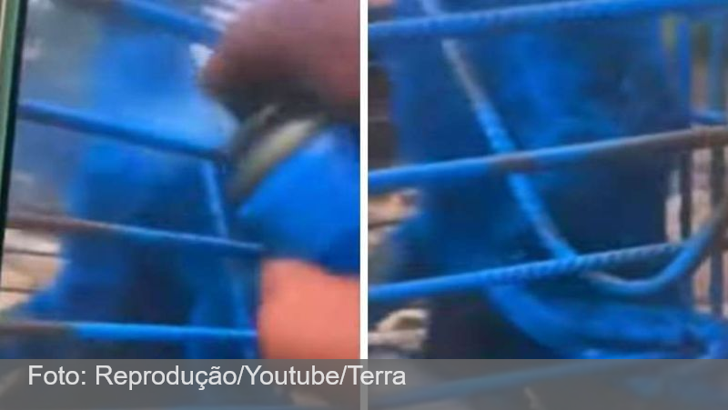Homem pode responder por maus tratos após pintar macaco de azul em Minas Gerais