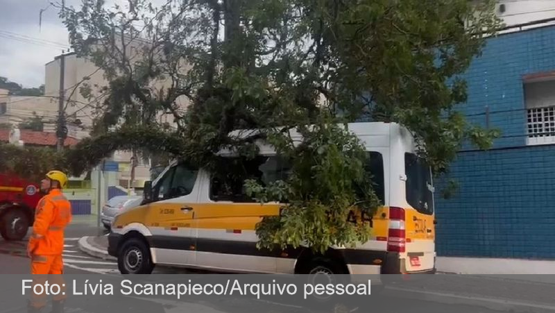 Árvore cai em cima de van escolar no Bairro Santa Helena, em Juiz de Fora