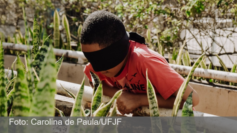 Jardim Sensorial da UFJF é reaberto em Juiz de Fora; veja como visitar