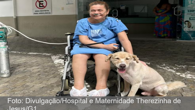 Encontro com cão-guia emociona paciente durante internação em Juiz de Fora: ‘Somos muito ligados’