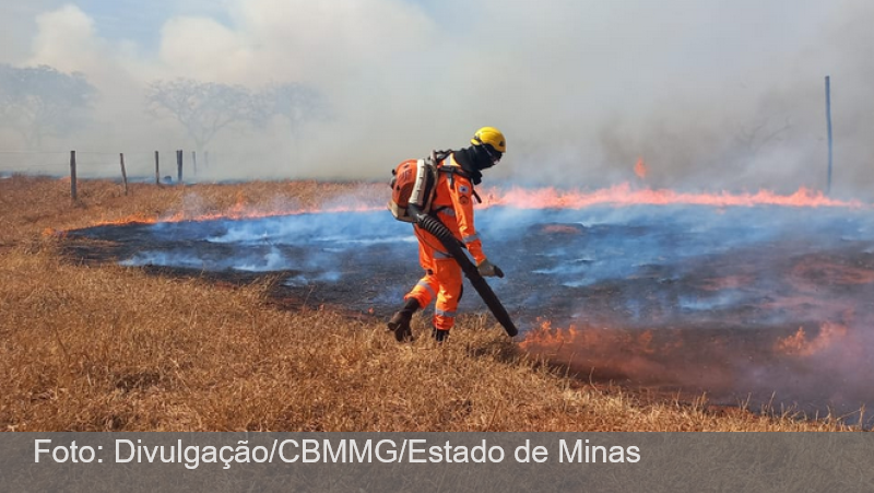 Minas acumula prejuízos milionários no rastro do fogo