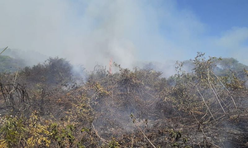 Equipes lutam para conter queimadas no pantanal