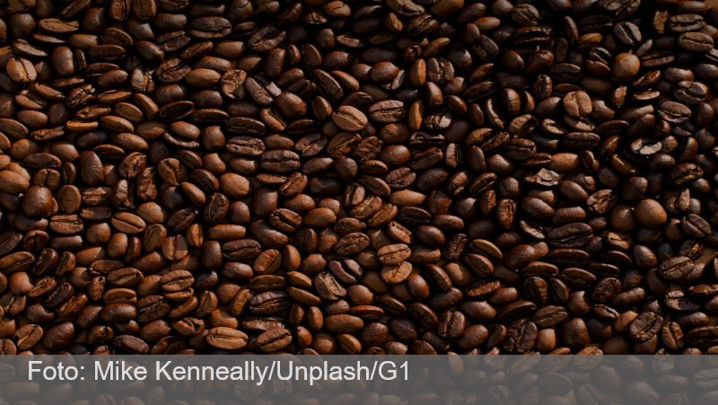 ‘Piorou para o Brasil’, dizem exportadores de café após redução de tarifas globais dos EUA; setores de carnes e frutas veem avanço