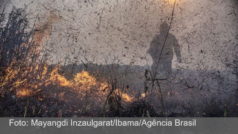 Focos de incêndios no Brasil já são 76% maior que em 2023