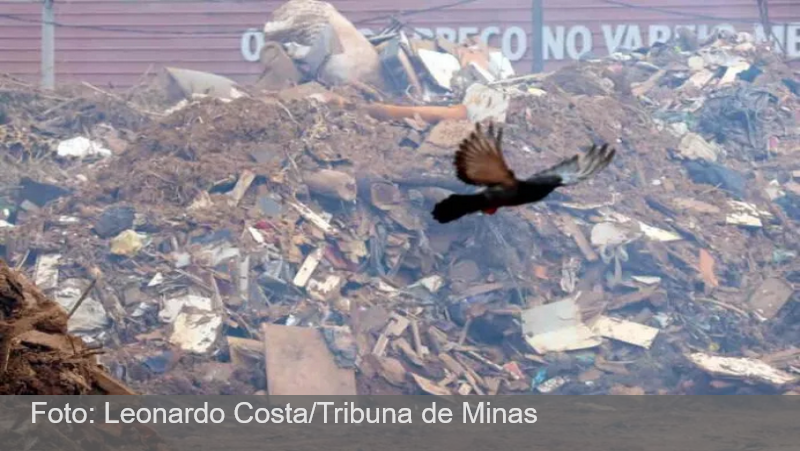 JF: População reclama de aumento de mosquitos após descarte provisório de resíduos da chuva no Parque de Exposições