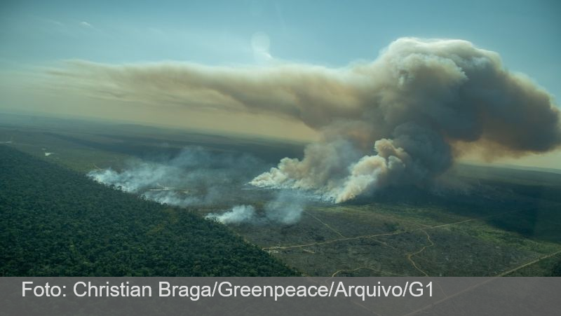 Nível de emissões de gases de efeito estufa no Brasil cai 12% em 2023