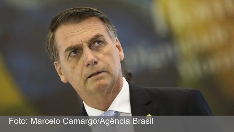 Bolsonaro depõe nesta terça em inquérito sobre importunação de baleia