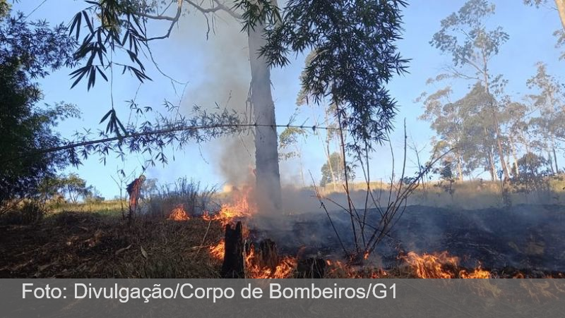 Em 24 horas, mais de 5 incêndios são registrados em Barbacena e Juiz de Fora