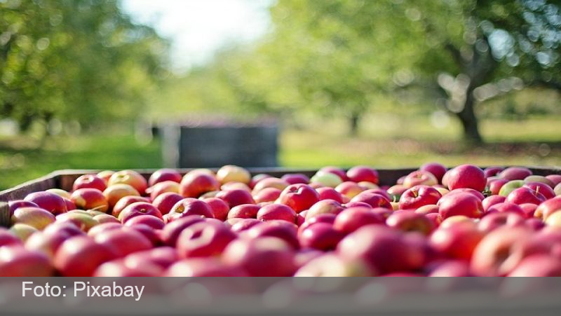 A fruta que pode ser a maior prejudicada pelo acordo Mercosul-União Europeia