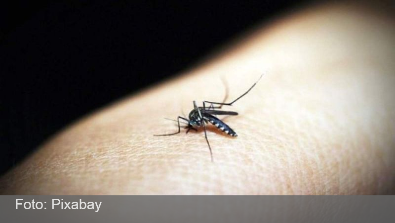 Minas confirma mais uma morte por chikungunya; já são 10 vítimas em 2024